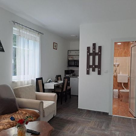 Vila Mozart - Apartments & Studios 科帕奥尼克 外观 照片