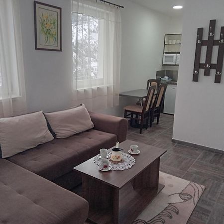 Vila Mozart - Apartments & Studios 科帕奥尼克 外观 照片