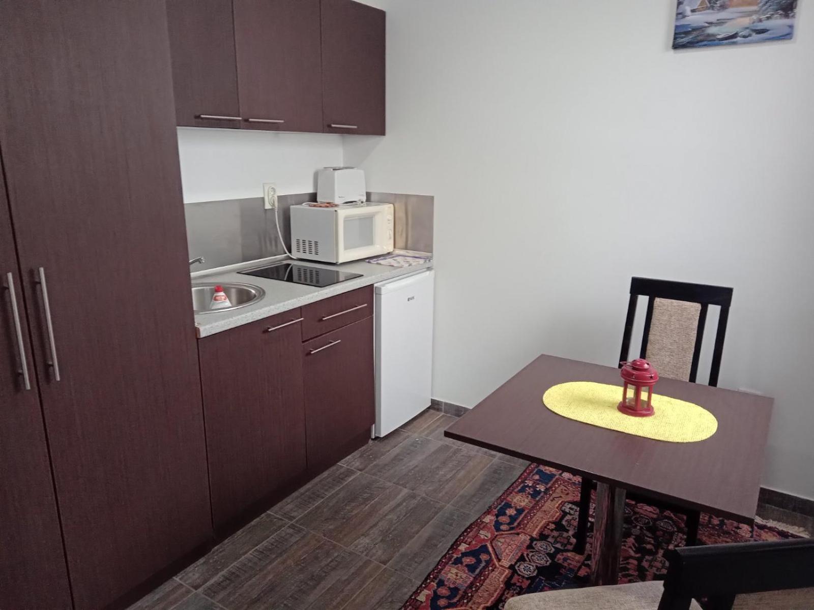 Vila Mozart - Apartments & Studios 科帕奥尼克 外观 照片